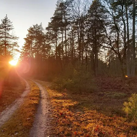 אכסניה Boslodges Veluwe
