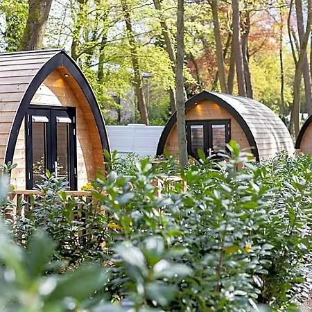 Boslodges Veluwe Lodge *