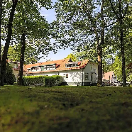 Lodge Boslodges Veluwe *