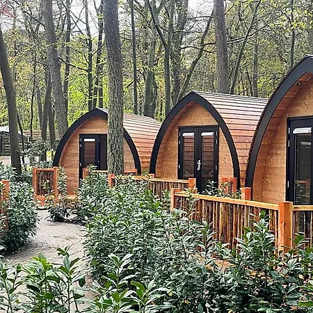 Boslodges Veluwe Lodge *