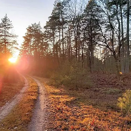 Boslodges Veluwe *