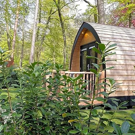 Lodge Boslodges Veluwe Nunspeet