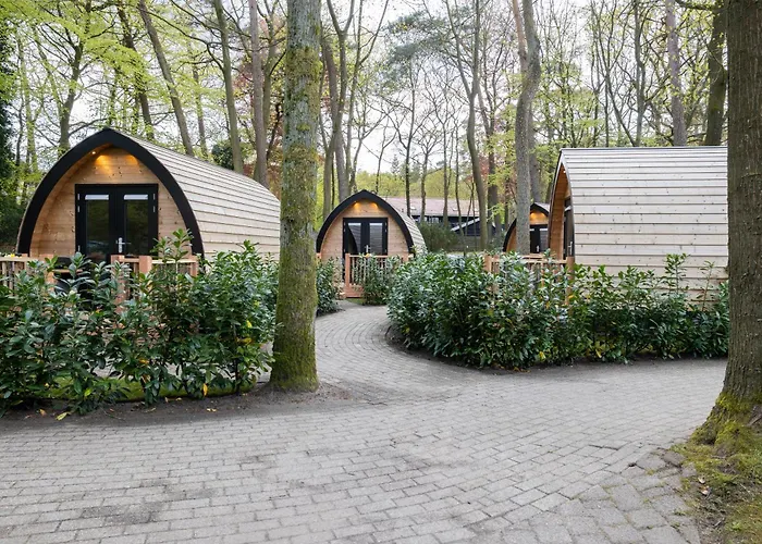 Boslodges Veluwe * Nunspeet