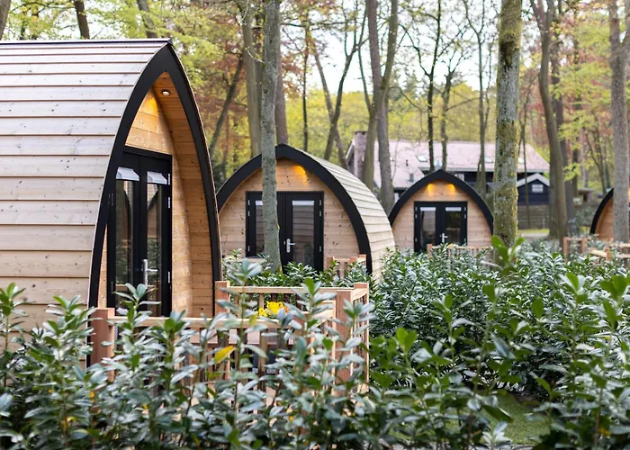 Lodge Boslodges Veluwe Nunspeet