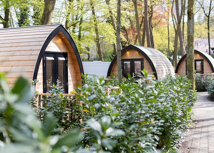 Lodge Boslodges Veluwe