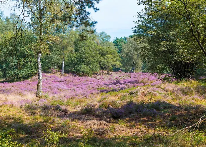 Boslodges Veluwe * Nunspeet