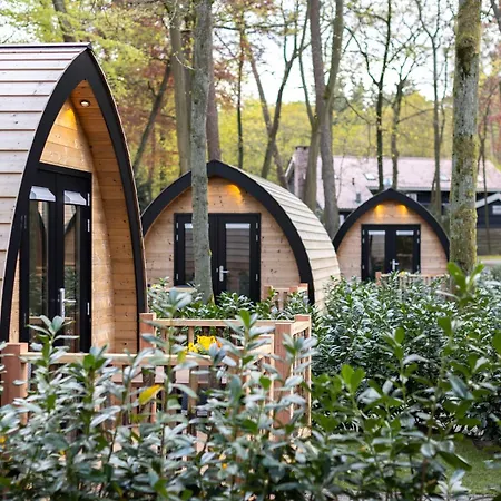 Orman Evi Boslodges Veluwe Nunspeet