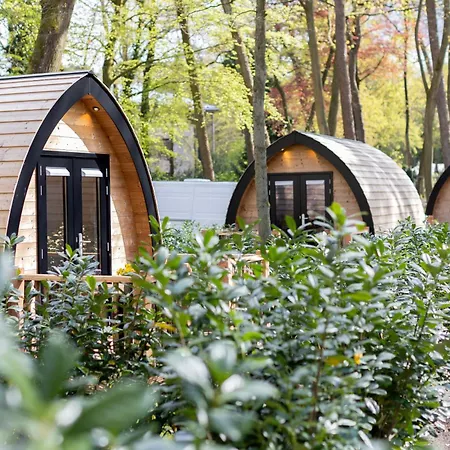 Orman Evi Boslodges Veluwe