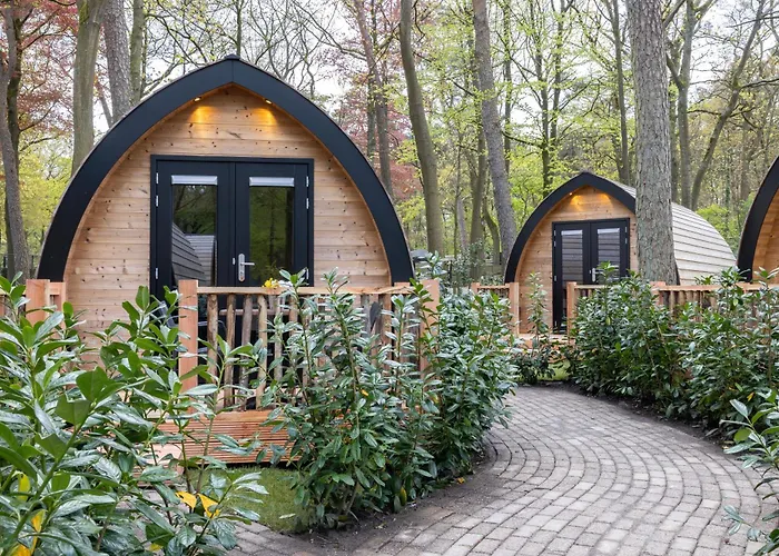 Orman Evi Boslodges Veluwe