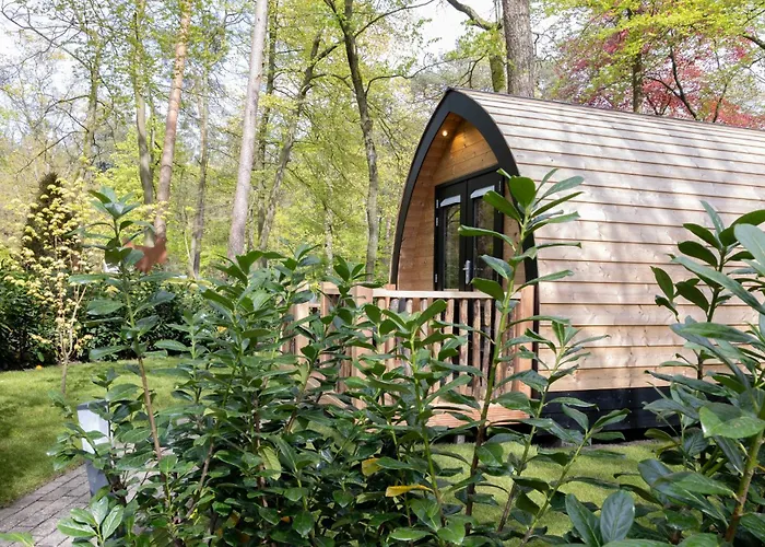 Boslodges Veluwe * Nunspeet